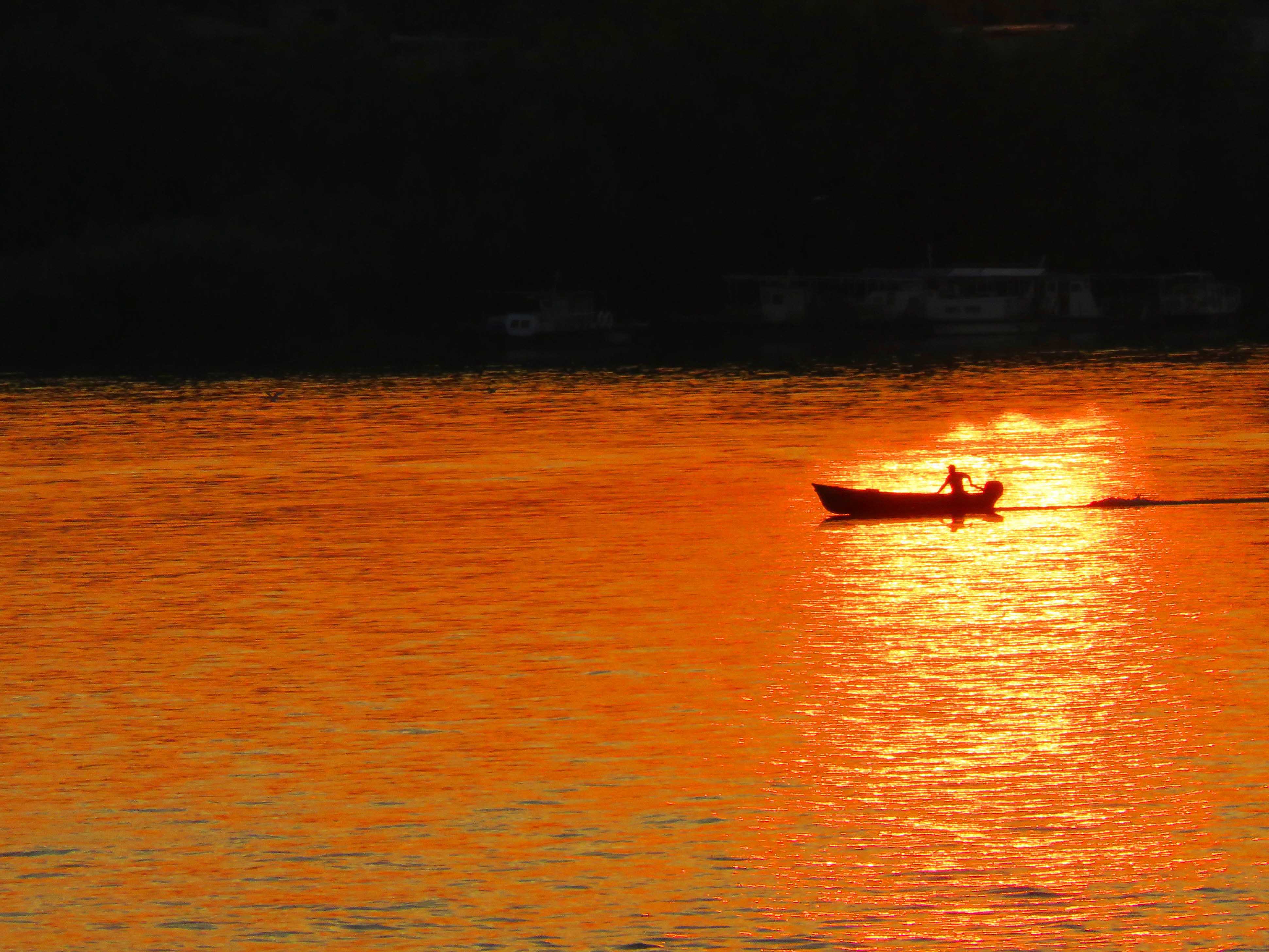 Danube Delta by Bike & Boat