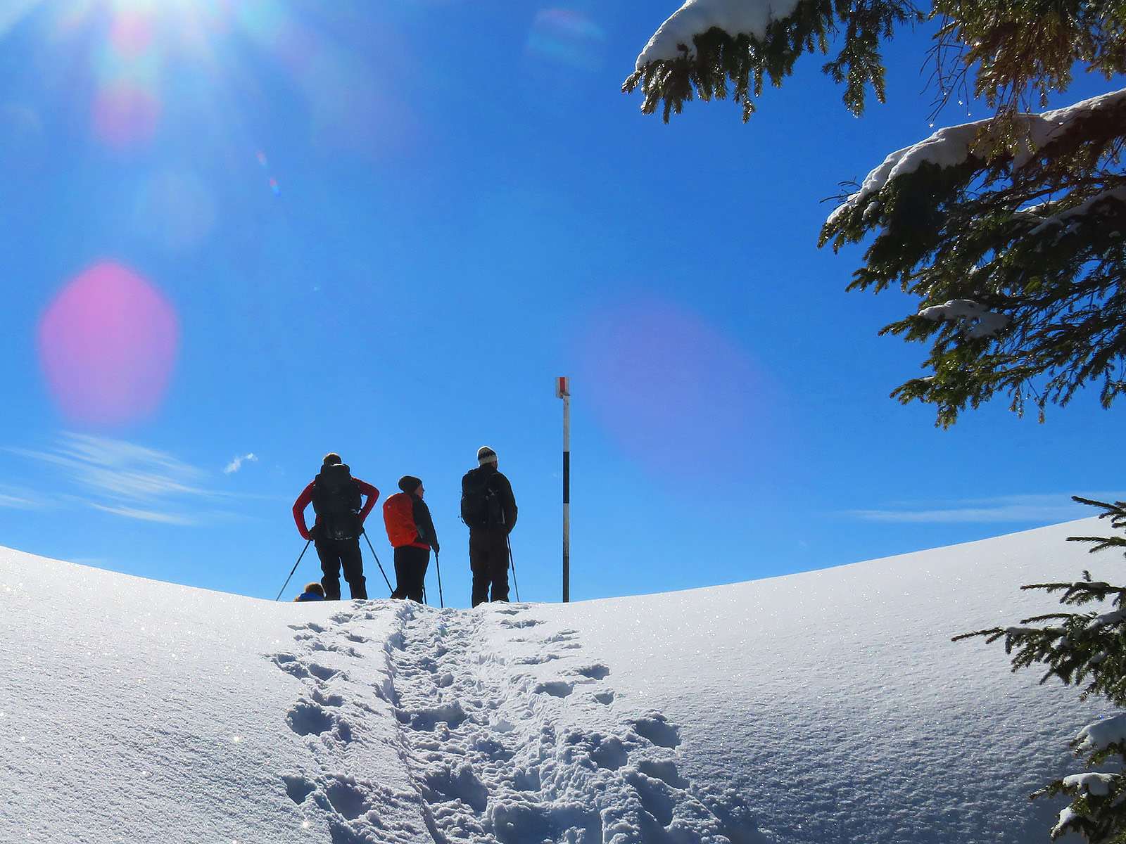 Snowshoeing in Romania