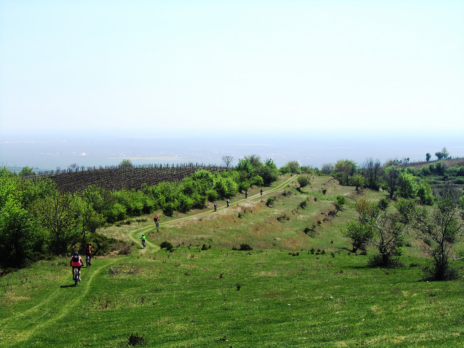 One Day Wine Route by Bike