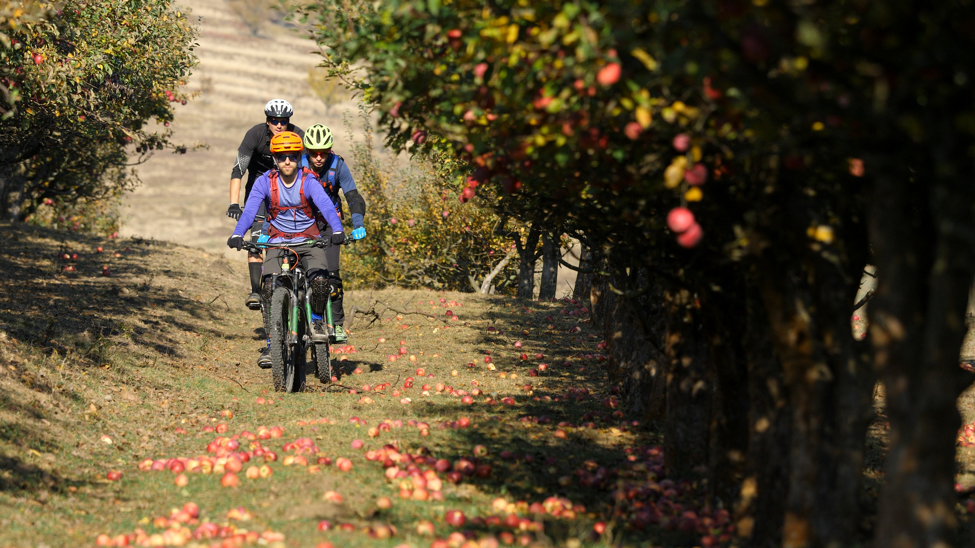 Turul Discovery în Transilvania pe E-bike