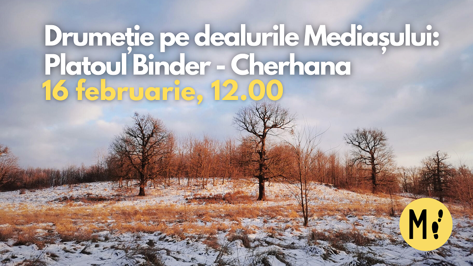 Drumeție pe dealurile Mediașului: Platoul Binder - Cherhana