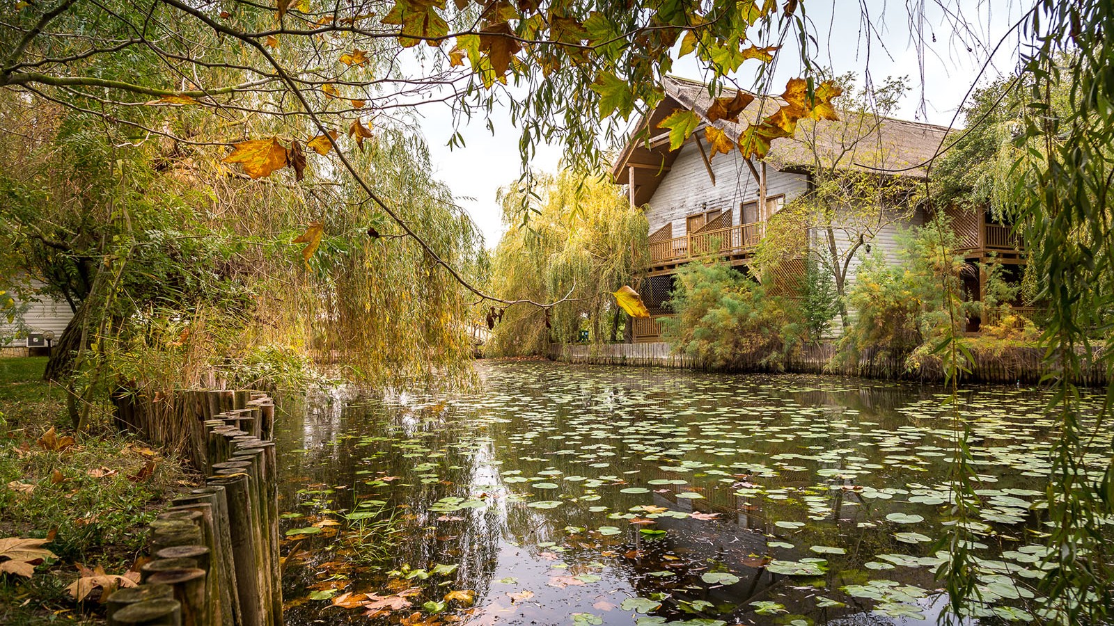 Green Village Resort - Danube Delta | Sfântu Gheorghe