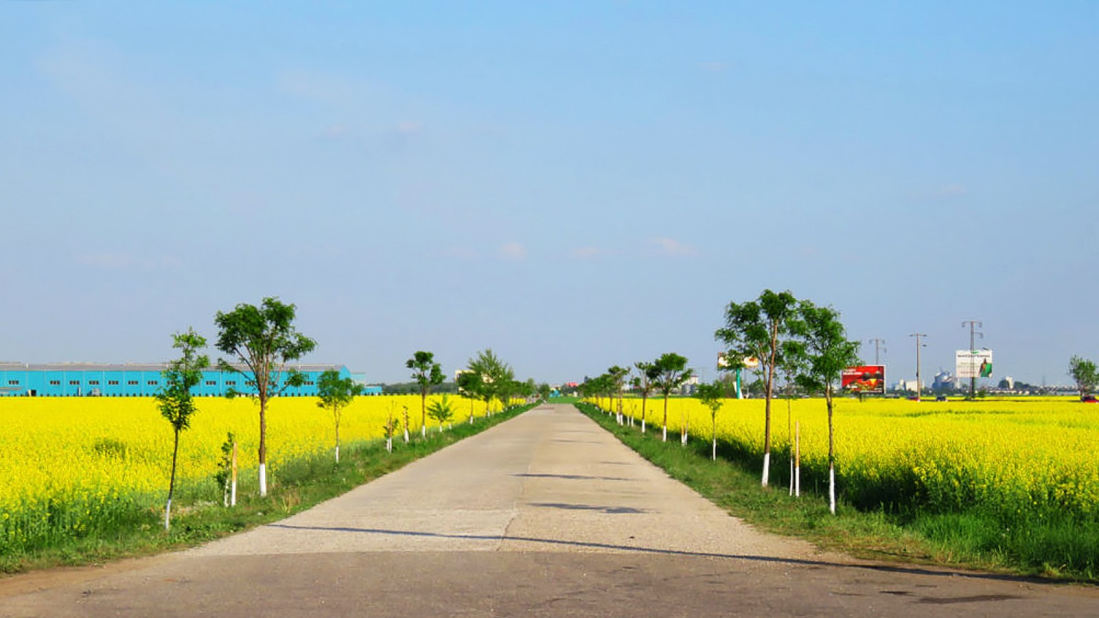 Bucharest Surroundings by Bike