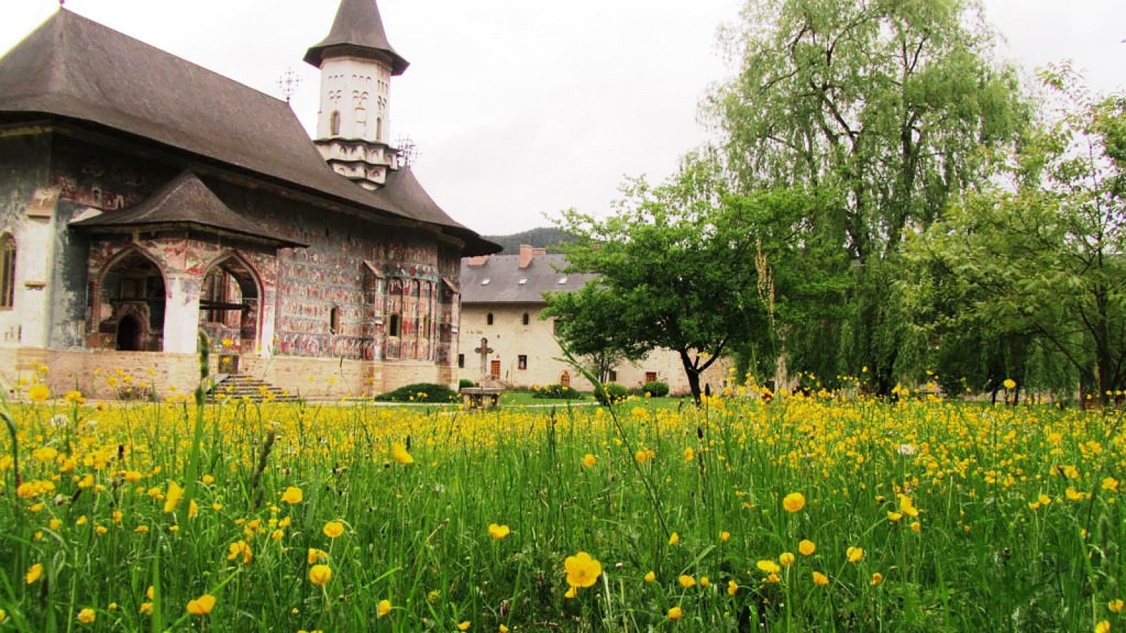 Bucovina Painted Monasteries