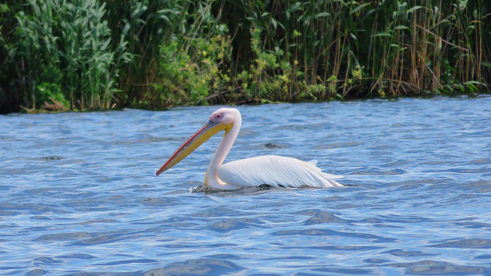 Danube Delta by Bike & Boat