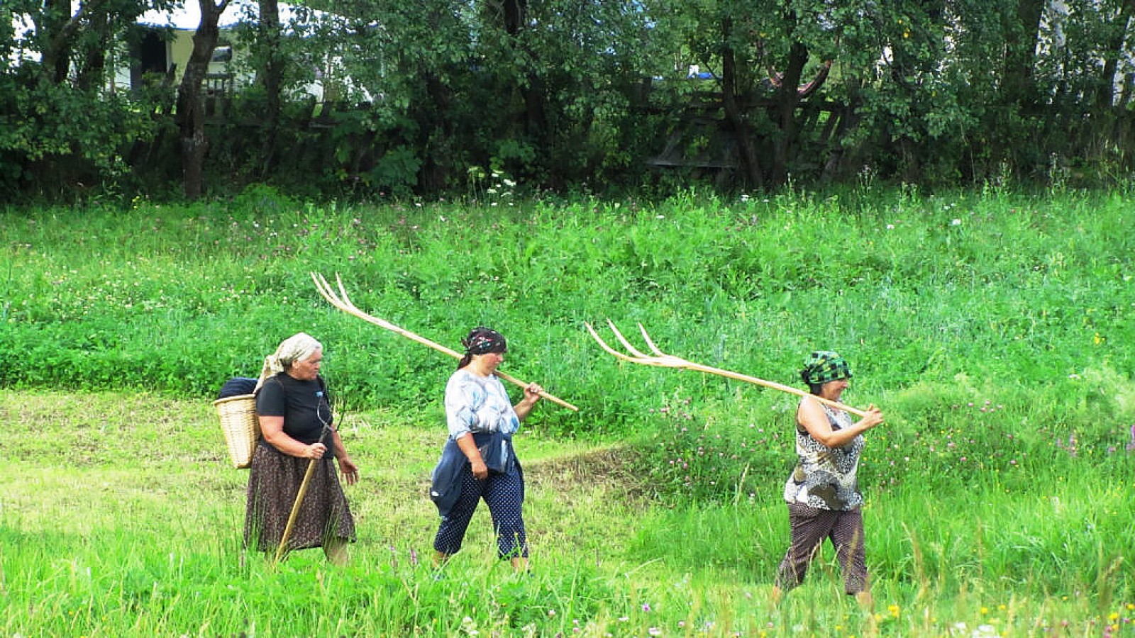 Maramures Wooden Churches Route