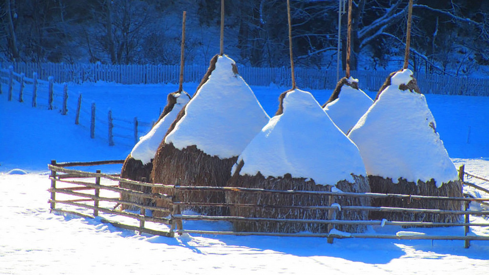 Maramures Wooden Churches Route