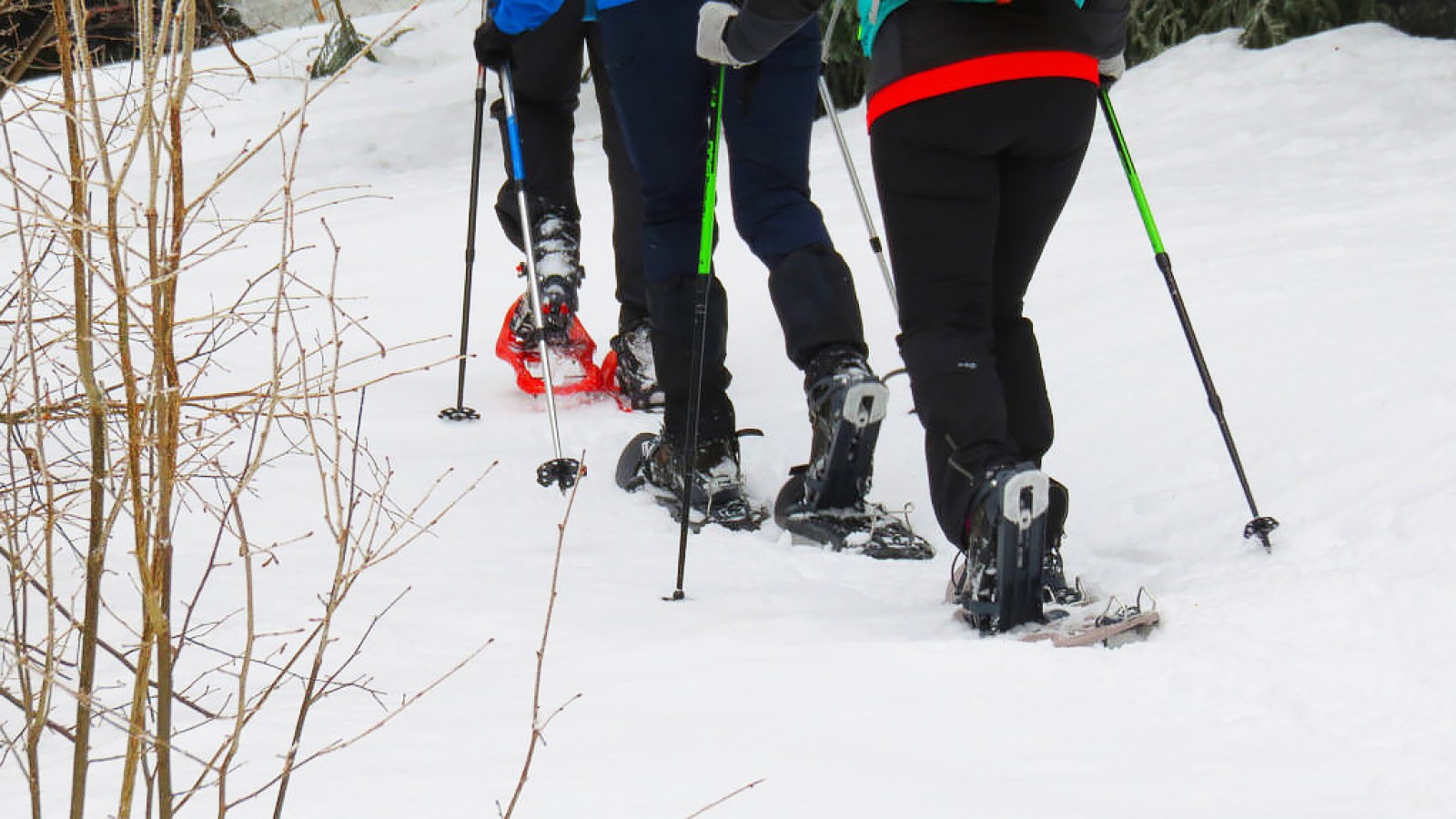 Snowshoeing in Romania