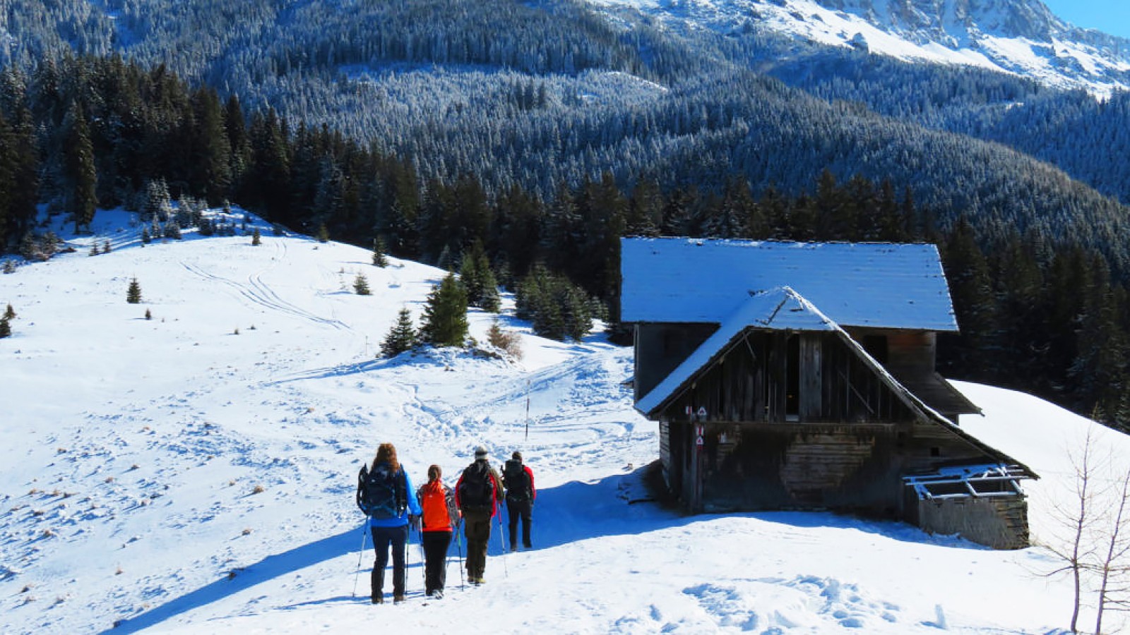 Snowshoeing in Romania