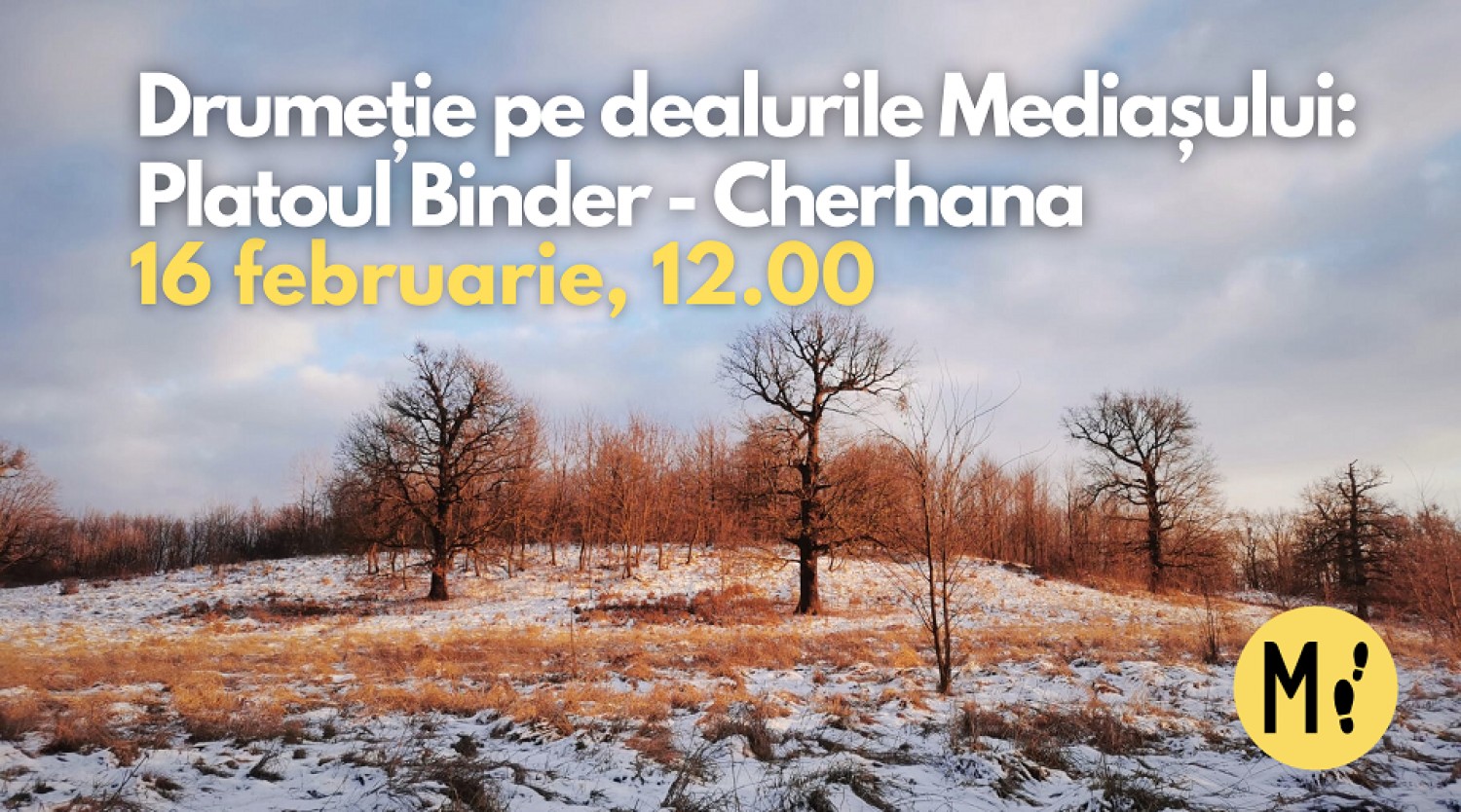 Drumeție pe dealurile Mediașului: Platoul Binder - Cherhana