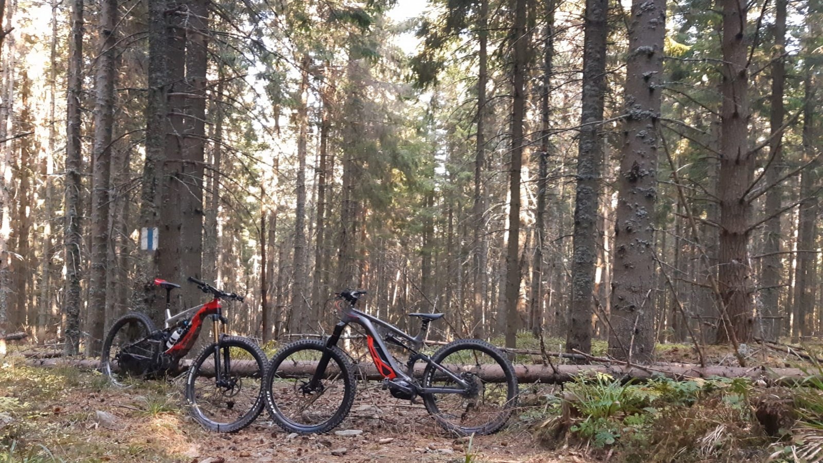 Explorează Munții pe ebike-urile MTB Thok