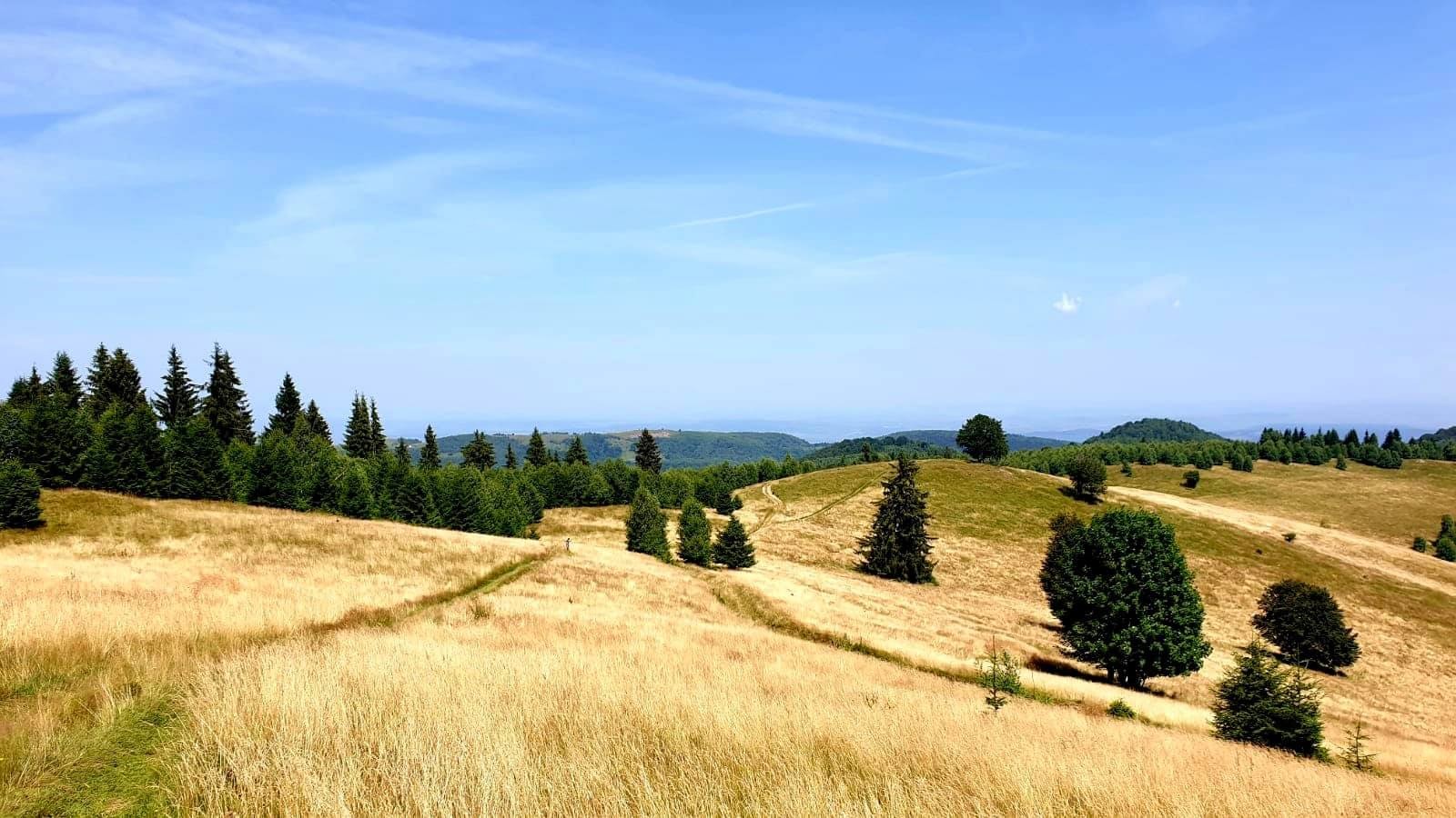 Explorează Munții pe ebike-urile MTB Thok